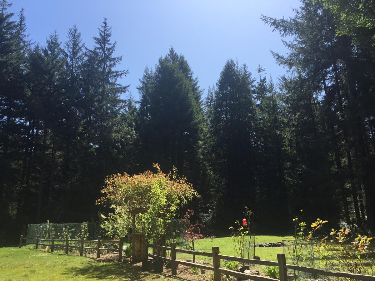 Redwood Forest Crescent City Eksteriør bilde